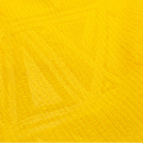 Borussia Dortmund Domicile 26/2027