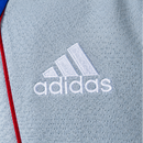 Polo Bayern Munich Gris 2025/26