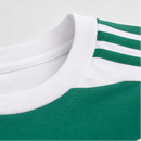 Celtic Domicile 26/2027