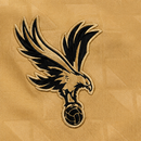 Crystal Palace Third 25/2026