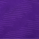 Fiorentina Domicile 2025/26
