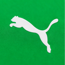 Borussia Mönchengladbach Extérieur 2025/26