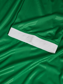 AS Saint-Étienne Domicile 2026/27 Femme
