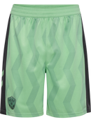 Short AS Saint-Étienne Third 2026/27