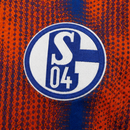 Schalke 04 Third 25/2026