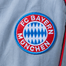 Bayern Munich Coupe-vent Gris 2025/26