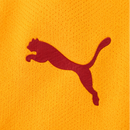 Maillot domicile Galatasaray 2026/27