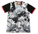 Japon Gris 25/2026