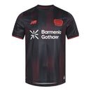 Bayer Leverkusen Domicile 25/26