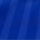 Maillot domicile RC Strasbourg Alsace 24/25