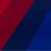 Pedri  Barcelona 2026