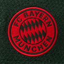 Polo Bayern Munich Vert foncé 2025/26