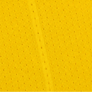 Al Nassr Domicile 2025