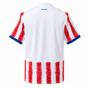 Maillot domicile de l'équipe nationale de football du Paraguay 2026