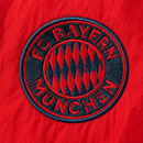 Bayern Munich Coupe-vent Rouge et Bleu Marine 2025/26