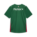 Palmeiras Domicile Vert 26/2027