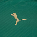 Palmeiras Domicile 24/25 · Femme