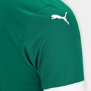 Palmeiras Domicile 25/26