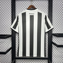 Botafogo Domicile 24/25