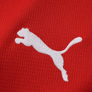Autriche Domicile Rouge 26/2027