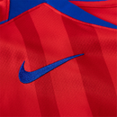 PSG Third 2025/26 Version Joueur