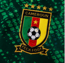Maillot domicile de l'équipe nationale du Cameroun 2026 - Homme - Version supporter - Vert