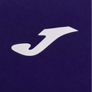 Anderlecht Domicile 25/2026