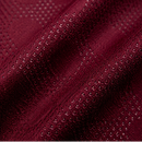 Aston Villa Domicile 25/2026