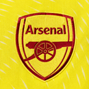 Arsenal Gardien 2025/26