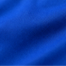 KAA Gent Domicile 2025/26