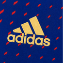 Troisième maillot extérieur de Lyon 22/23