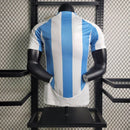Argentine Domicile Argent 24/2025 · Version Joueur