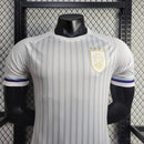 Uruguay Extérieur 24/2025 · Version Joueur