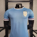 Uruguay Domicile 24/2025 · Version Joueur