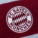 Sweat à capuche Bayern Munich Gris 2014/15