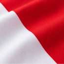 Monaco Domicile 2026 · Version Joueur