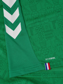 AS Saint-Étienne Domicile 2026