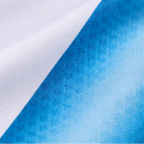Maillot Domicile Version Joueur 2026