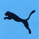 Erling Haaland Manchester City 2026