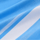 Erling Haaland Manchester City 2026