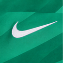 Maillot de gardien de but PSG vert à manches longues 23-24