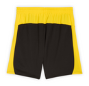 Short domicile du Borussia Dortmund 2025/26