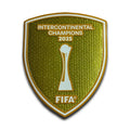Patch Champion intercontinental