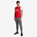 Arsenal Domicile 2023/24